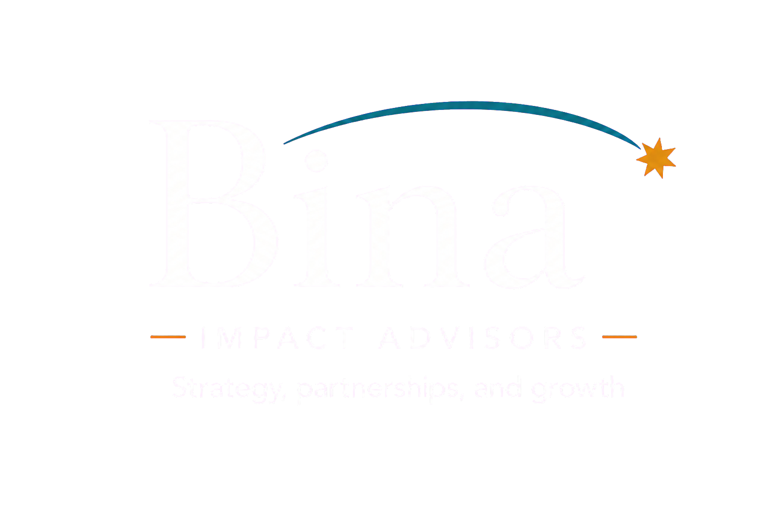Bina Impact Advisors — Strategy, partnerships, and growth